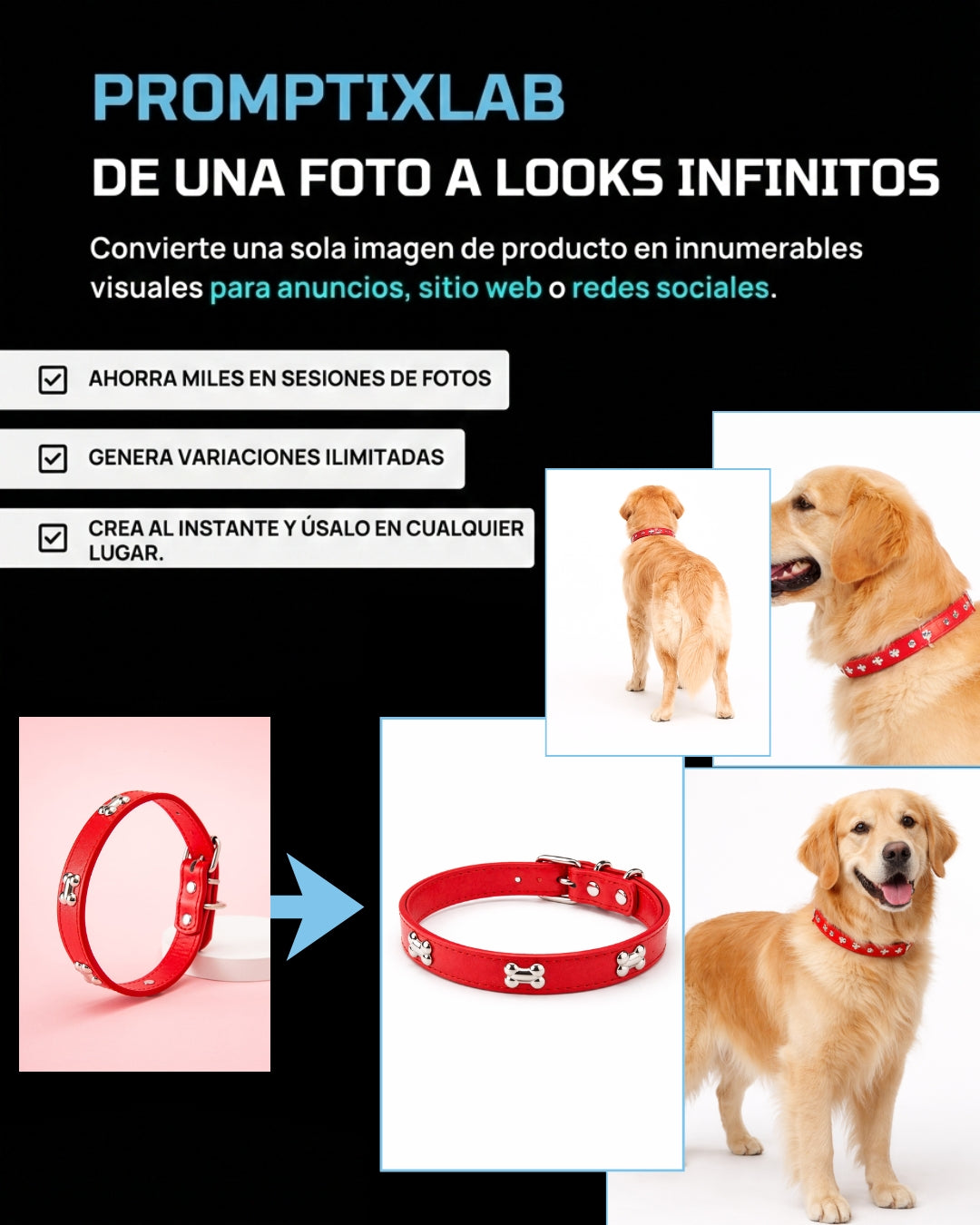 50 PROMPTS – PET SHOP EDITION – Productos para mascotas con imagen de marca premium